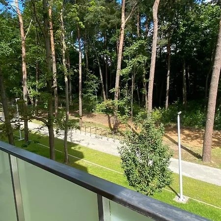Apartment Lesny *
