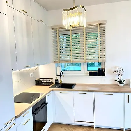 Lesny Apartment